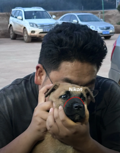 Trào lưu này đã tạo nên một không gian vui tươi, tích cực trên mạng xã hội, nơi mọi người cùng nhau chia sẻ niềm vui và tình yêu với thú cưng. (Ảnh: IGNV)