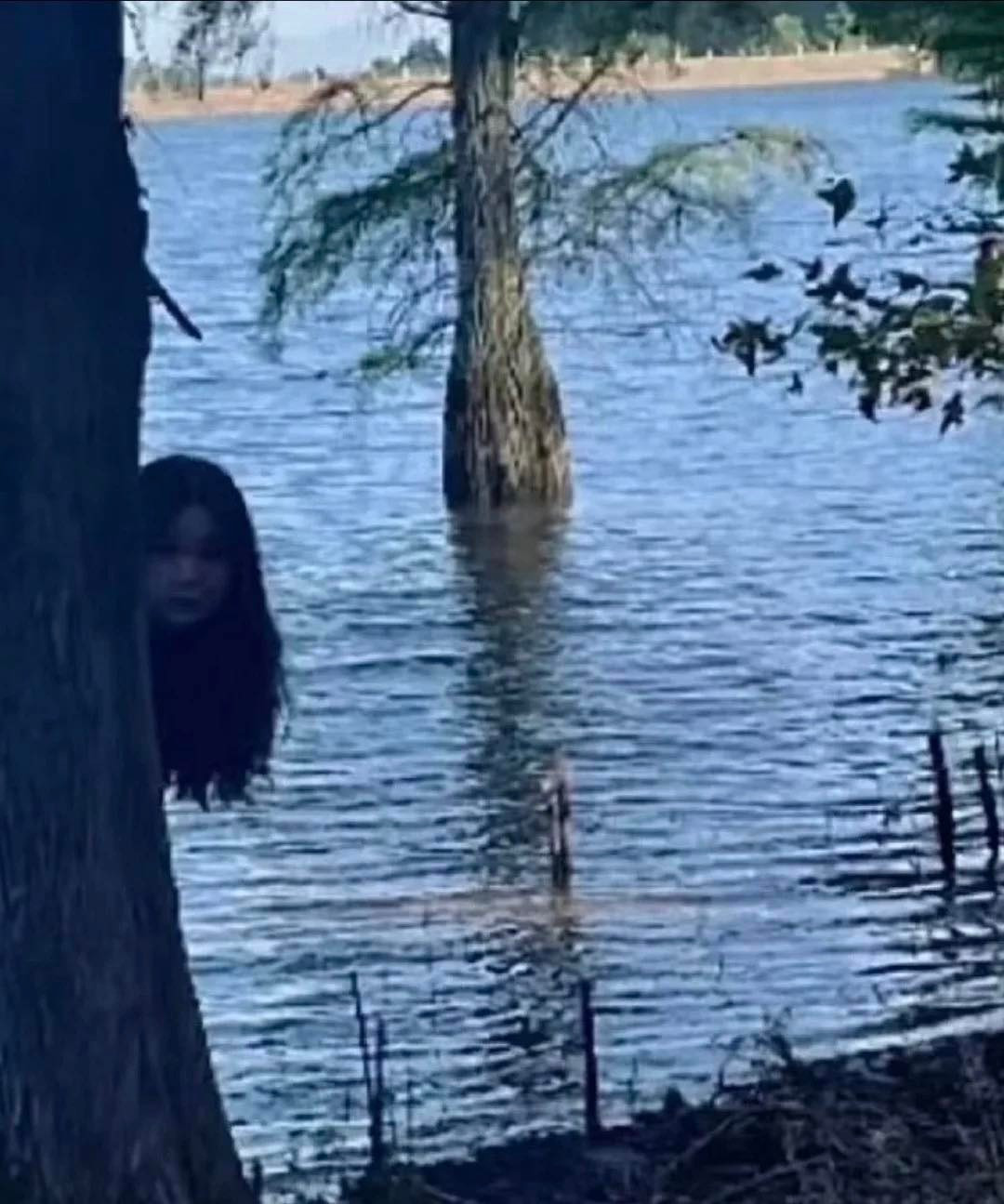 Nhìn vào bức ảnh này, nhiều người phải "thót tim" nhẹ.