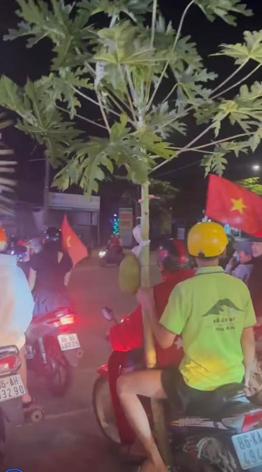 Không hiểu bằng cách nào, những cây chuối hay thậm chí là cả một cây đu đủ còn nguyên quả lại có thể yên vị trên yên xe máy giữa dòng người đông đúc.