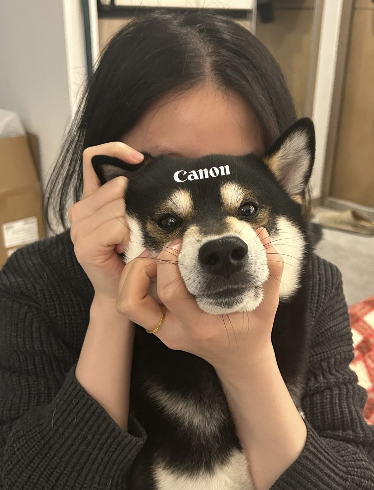 Trend này xuất phát từ việc người nuôi thú cưng chụp một tấm ảnh như đang cầm máy ảnh với chú cún nhà mình, rồi khéo léo đặt tên các thương hiệu máy ảnh nổi tiếng như Canon hoặc Nikon lên trán của cún cưng. (Ảnh: IGNV)