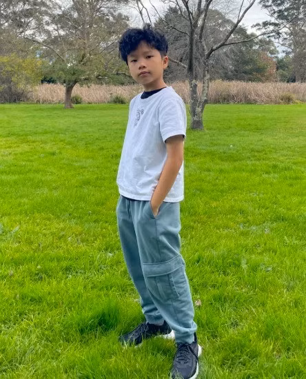 Hiện tại, Nam Long đang đảm nhận vị trí Giám đốc Phát triển (Chief Growth Officer) tại Công ty phần mềm OplaCRM tại TP.HCM.