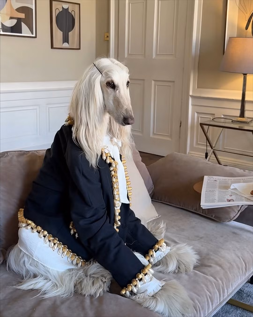 Không chỉ dừng lại ở việc mặc những bộ đồ dành cho thú cưng thông thường, tủ đồ của Samantha là sự kết hợp tinh tế giữa phụ kiện cao cấp và tư duy thẩm mỹ hiện đại.