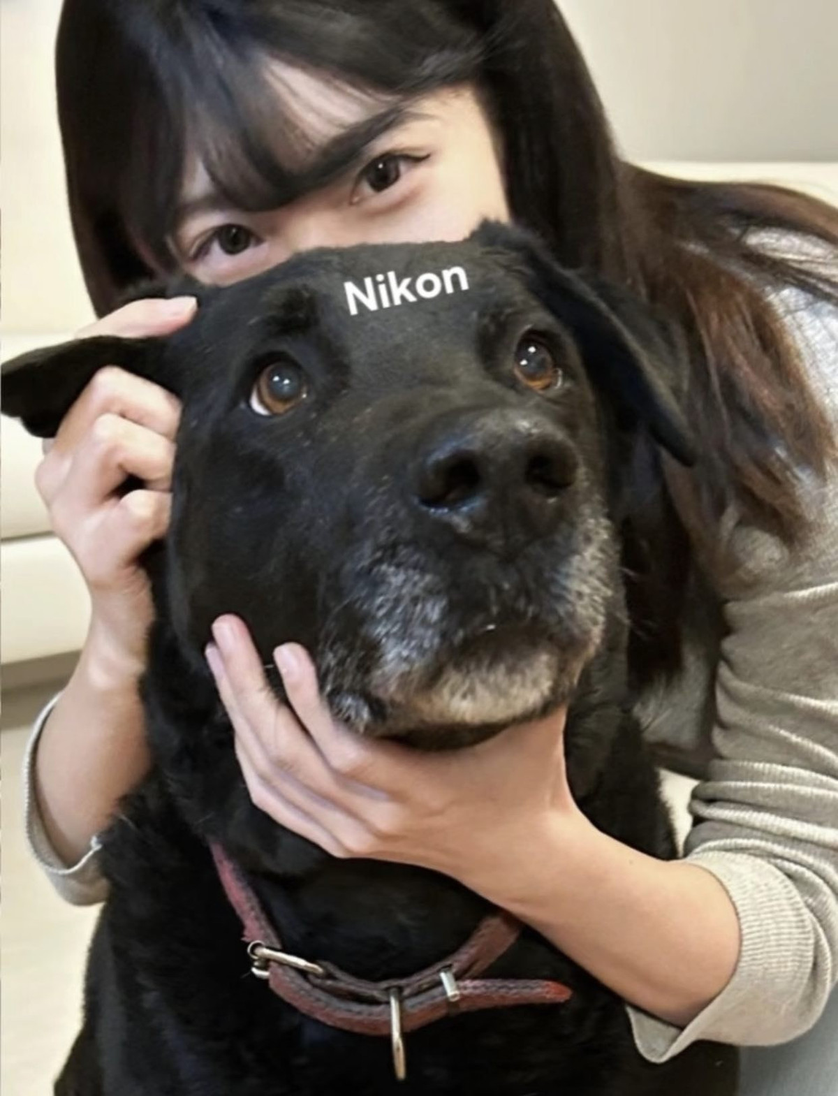 Không chỉ là một trào lưu vui vẻ, những bức ảnh này còn thể hiện tình yêu thương vô bờ bến mà "con sen" dành cho "hoàng thượng" hay "boss" của mình. Thú cưng không chỉ là bạn đồng hành mà còn là một phần không thể thiếu trong cuộc sống, xứng đáng được ưu ái và "lên sóng" với những cách độc đáo nhất. (Ảnh: IGNV)