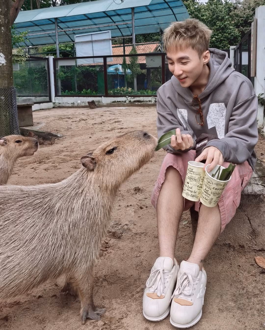 Mỗi lần nam ca sĩ xuất hiện ở đâu, địa điểm đó ngay lập tức trở thành tọa độ check-in được săn đón. (Ảnh trong bài: FBNV)