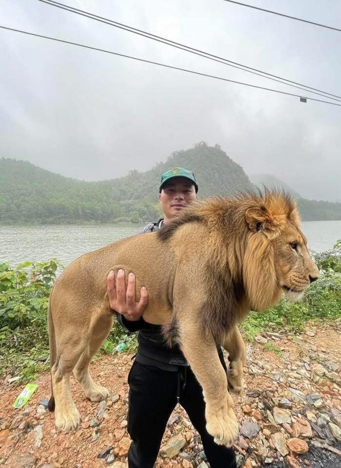 ...thậm chí còn bế trên tay cả một chú sư tử to lớn.