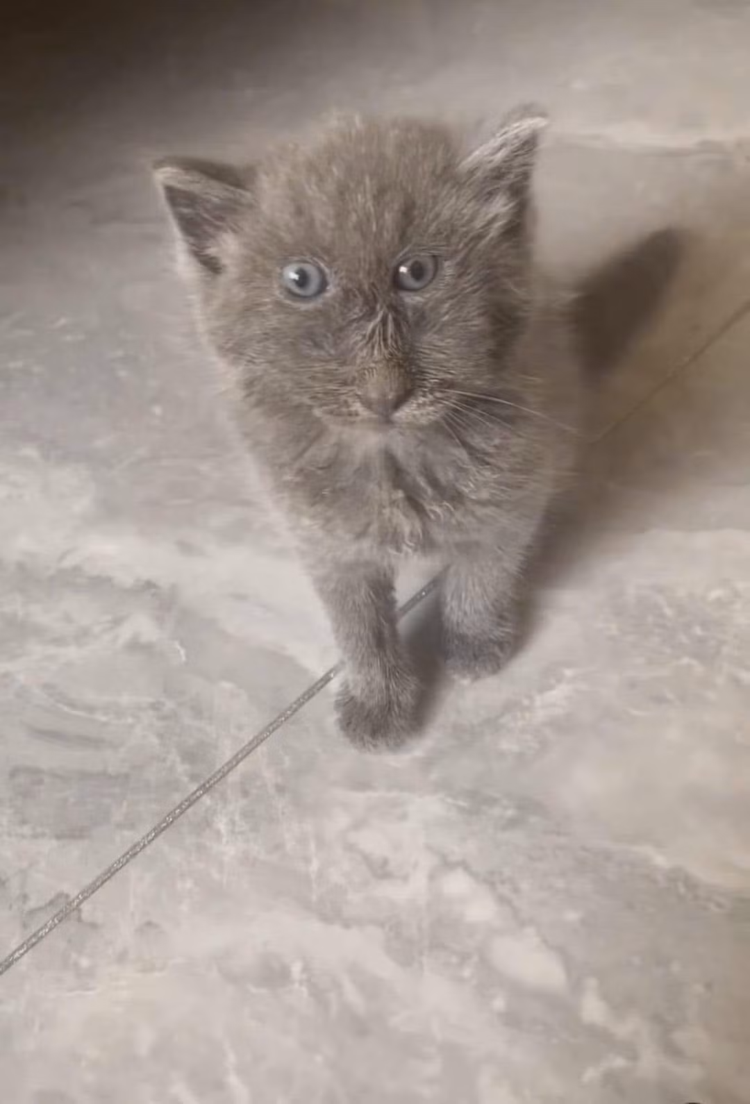 Nhìn vào bức ảnh này, một tài khoản mạng đã phải cầu cứu "tắt filter cho nó đi chứ, ai lại để cái mặt bẹo hình bẹo dạng thế này".