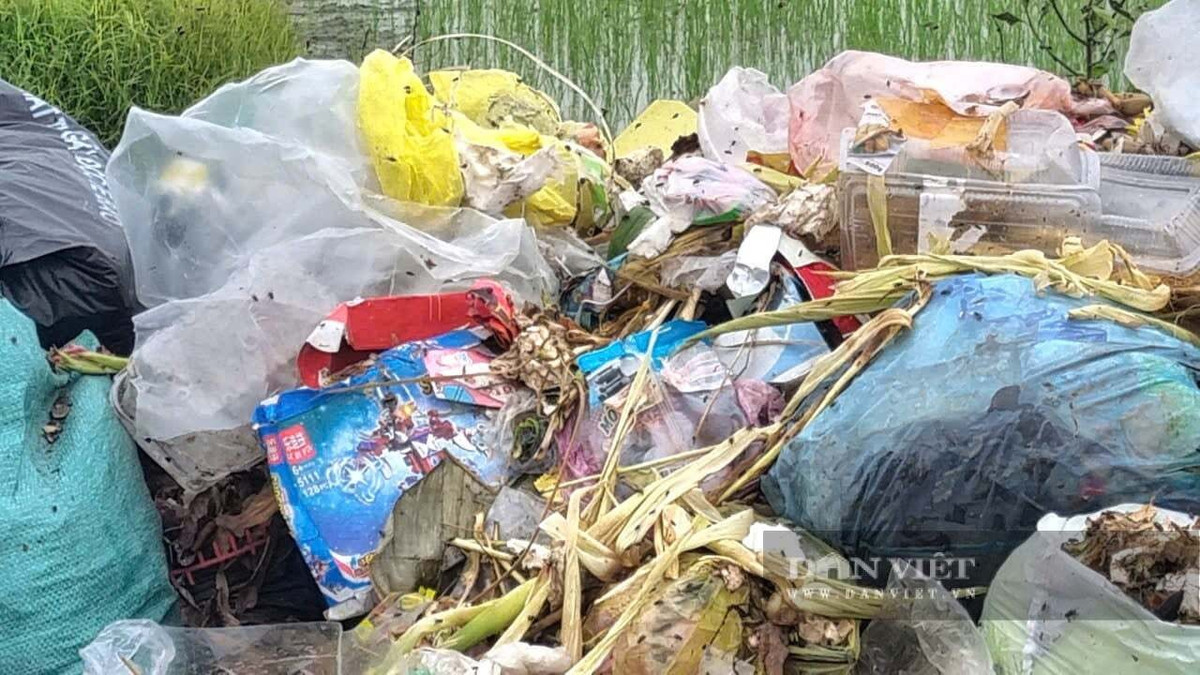 Đủ loại rác thải bốc mùi hôi thối, ruồi muỗi bâu quanh. Ảnh: Vũ Thượng