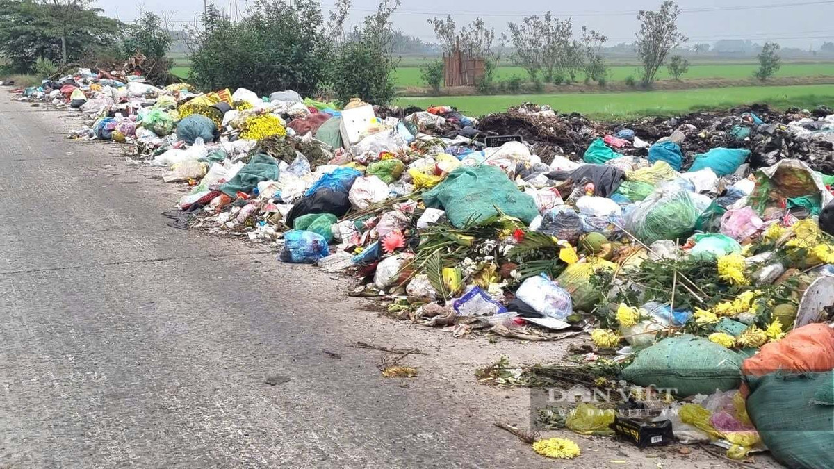 Túi nilon, hộp nhựa...bay xuống ruộng lúa sản xuất của người dân. Ảnh: Vũ Thượng