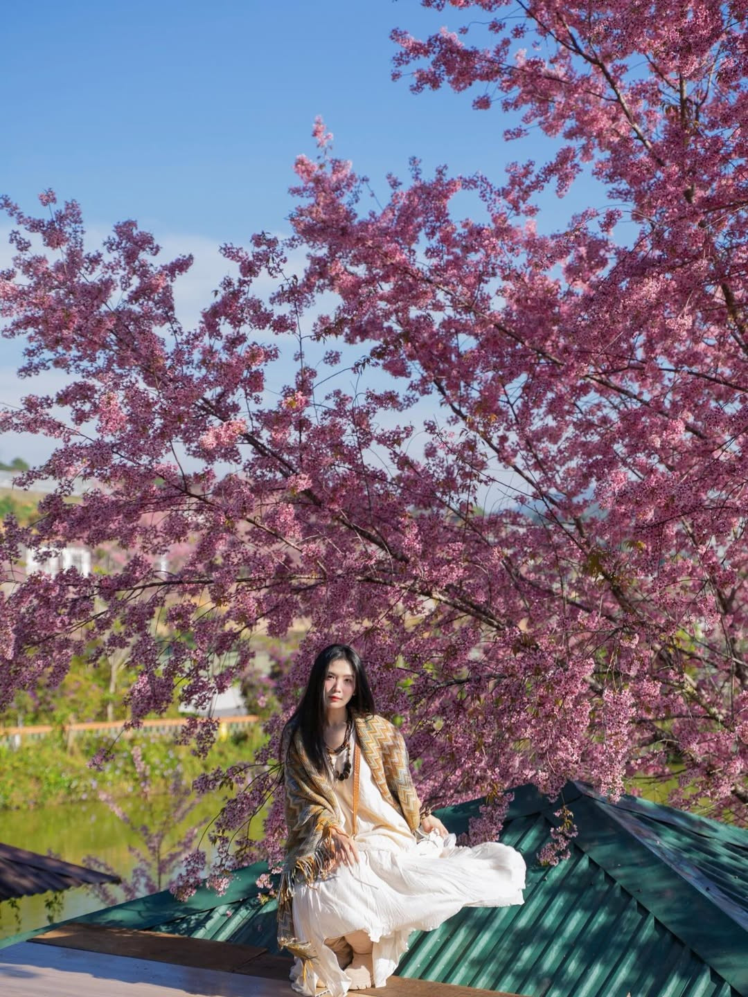 Ánh mắt trong veo cùng nụ cười rạng rỡ của cô nàng dường như còn rực rỡ hơn cả sắc hoa xuân. (Ảnh: IGNV)