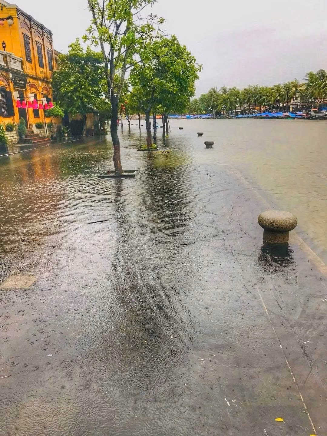 Nhiều người nhận xét phố cổ Hội An dù ngập lụt nhưng vẫn mang một vẻ đẹp trầm mặc, cổ kính rất riêng. Và đôi khi, chính những khó khăn bất ngờ lại tạo nên những kỷ niệm đáng nhớ và những câu chuyện hài hước để kể lại sau này. Một số người còn hài hước bình luận rằng chuyến đi này giống như "thử thách sinh tồn", hoặc "du lịch sông nước phiên bản không thuyền".