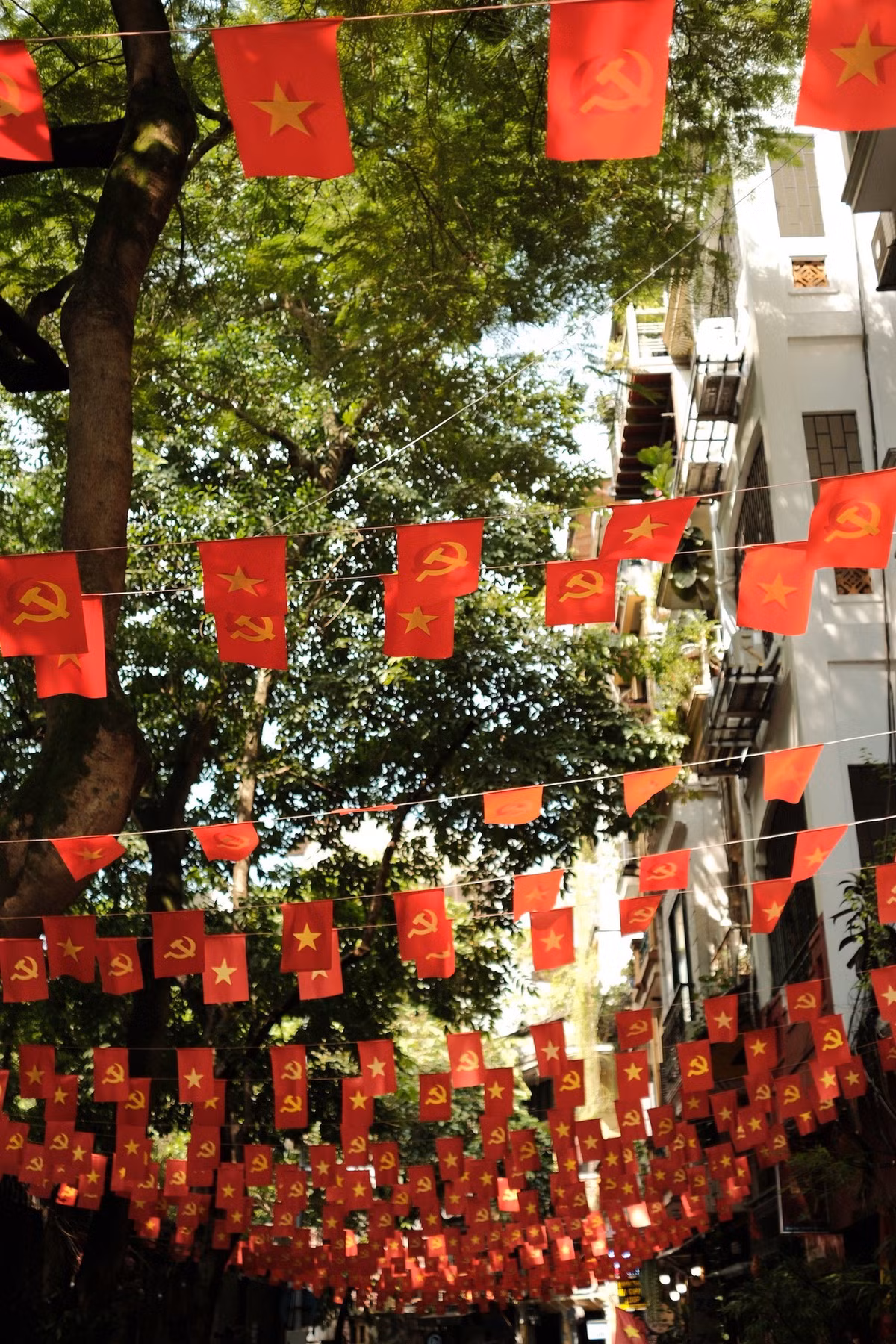 Ngay sau khi được chia sẻ, bộ ảnh đã nhận về hàng nghìn lượt yêu thích và bình luận tích cực từ cộng đồng mạng. Cặp đôi MC đã góp phần lan tỏa tình yêu nước và niềm tự hào dân tộc trong những ngày cận kề 2/9. (Ảnh: FB Gia Đình Truyền Hình)