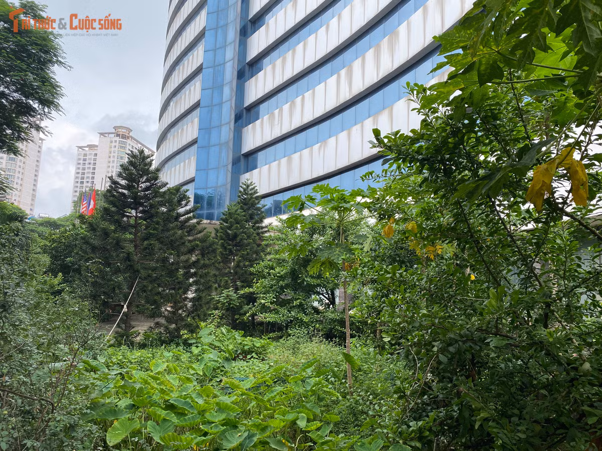 Gần 10.000m² "đất vàng" bị lãng phí trong khi các cơ sở y tế lân cận luôn trong tình trạng quá tải.