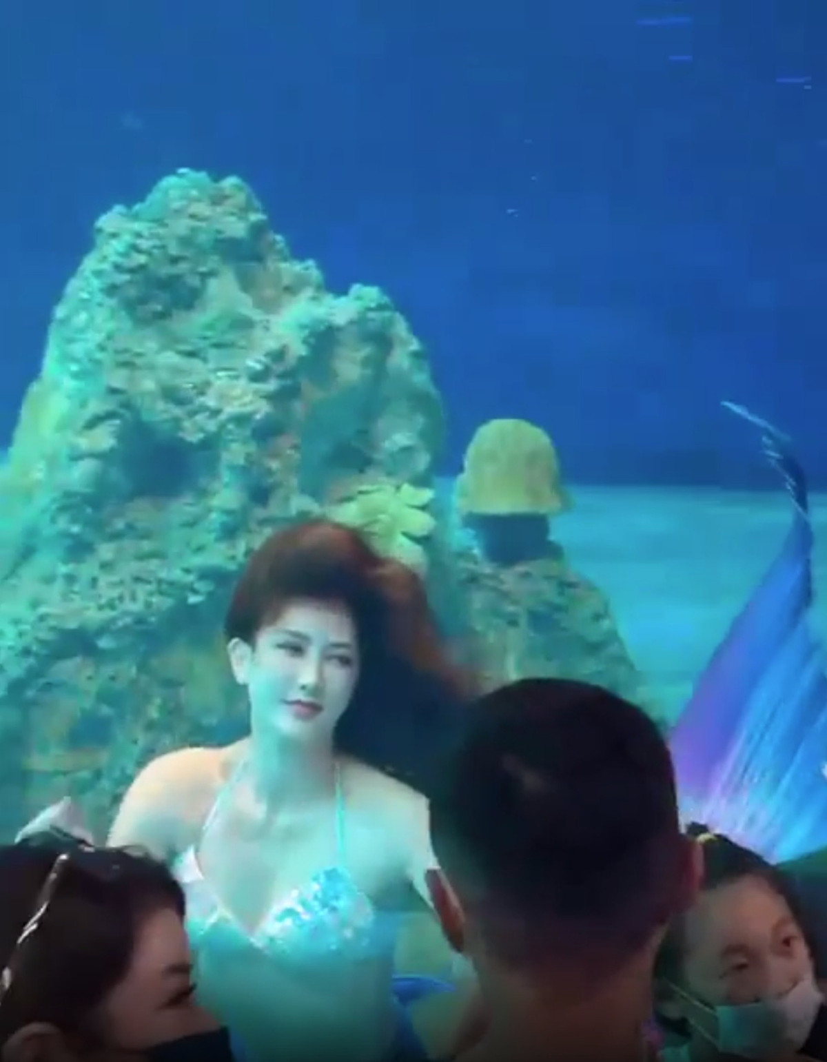Khoảng 3 năm trước, mạng xã hội châu Á từng "dậy sóng" vì hình ảnh một cô gái trẻ hóa thân thành mỹ nhân ngư chuyên nghiệp. Đó chính là Lỗ Hiểu Hy, người được biết đến là một thợ lặn tự do kiêm người mẫu cosplay.