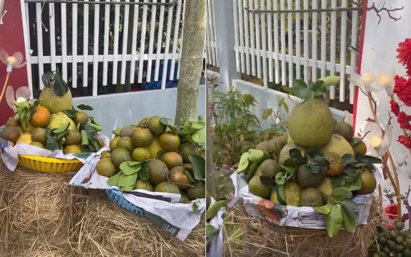 Thay vì đặt trên bàn gỗ, các mâm quả cưới (bưởi, cam, quýt...) được đặt trên những đống rơm vàng óng, gợi nhớ đến không gian làng quê Việt Nam xưa cũ.