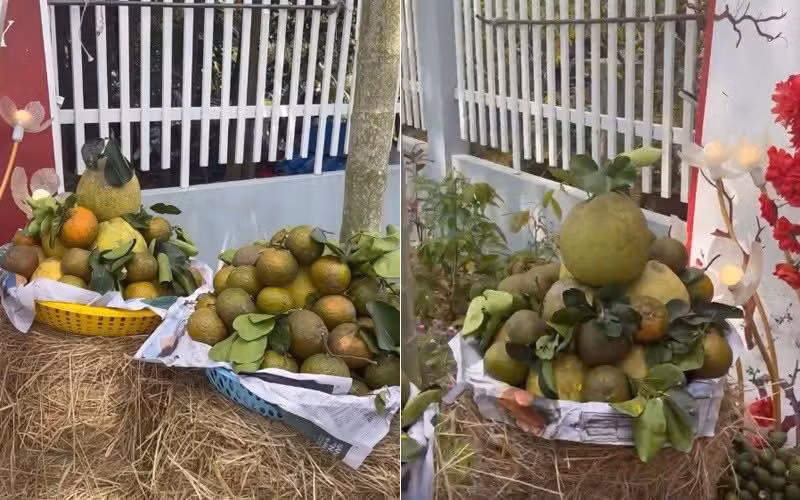 Thay vì đặt trên bàn gỗ, các mâm quả cưới (bưởi, cam, quýt...) được đặt trên những đống rơm vàng óng, gợi nhớ đến không gian làng quê Việt Nam xưa cũ.