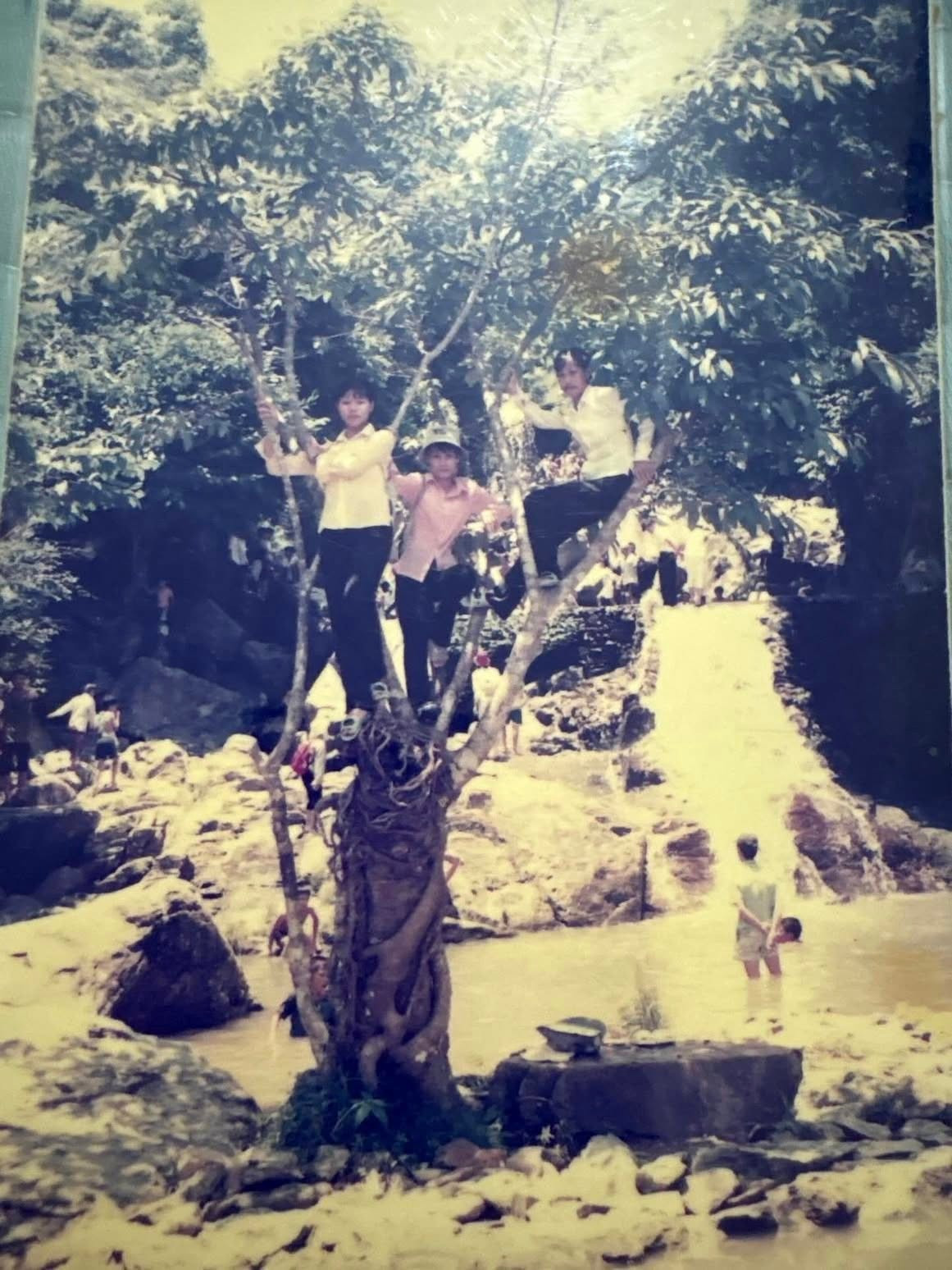 Giờ đây, những chàng trai, cô gái trong ảnh đều đã lên chức ông bà, cha mẹ. Như một bạn tài khoảnh mạng bồi hồi nhớ lại: "Mới ngày nào còn chụp ảnh cây mà giờ mình đã lên chức ông bà bố mẹ rồi".