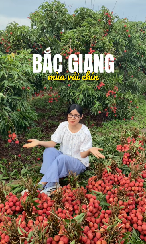 Không chỉ dừng lại ở việc phụ giúp thu hái, bốc vác tại vườn hay đưa vải ra chợ, các bạn sinh viên còn mang theo cả kiến thức và sự nhạy bén với công nghệ từ môi trường đại học. Họ nhanh chóng trở thành những "chuyên gia tiếp thị" bất đắc dĩ, mở rộng kênh phân phối cho sản phẩm của gia đình. Khi sức trẻ và công nghệ "tiếp sức" nông sản truyền thống Sự sáng tạo của giới trẻ đã thổi một luồng sinh khí mới vào việc bán vải truyền thống. Thay vì chỉ phụ thuộc vào thương lái hay các chợ đầu mối như trước đây, nhiều sinh viên đã tận dụng triệt để sức mạnh của mạng xã hội và các nền tảng công nghệ để mở rộng kênh phân phối cho sản phẩm của gia đình.