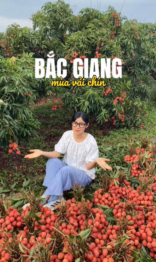Không chỉ dừng lại ở việc phụ giúp thu hái, bốc vác tại vườn hay đưa vải ra chợ, các bạn sinh viên còn mang theo cả kiến thức và sự nhạy bén với công nghệ từ môi trường đại học. Họ nhanh chóng trở thành những "chuyên gia tiếp thị" bất đắc dĩ, mở rộng kênh phân phối cho sản phẩm của gia đình. Khi sức trẻ và công nghệ "tiếp sức" nông sản truyền thống Sự sáng tạo của giới trẻ đã thổi một luồng sinh khí mới vào việc bán vải truyền thống. Thay vì chỉ phụ thuộc vào thương lái hay các chợ đầu mối như trước đây, nhiều sinh viên đã tận dụng triệt để sức mạnh của mạng xã hội và các nền tảng công nghệ để mở rộng kênh phân phối cho sản phẩm của gia đình.