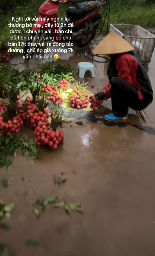 Nhiều bạn trẻ đã không ngần ngại đăng tải những bài viết trên các nền tảng như Facebook cá nhân hay Zalo, không chỉ giới thiệu về chất lượng từng trái vải tươi rói vừa được hái, mà còn lồng ghép những câu chuyện cảm động về công sức lao động của bố mẹ mình. Tiêu biểu như câu chuyện của một nữ sinh viên Đại học Kinh tế Quốc dân quê ở Nghê An, đã đăng bài bán vải thiều kèm hình ảnh thực tế vườn nhà, nhanh chóng nhận được hàng trăm lượt chia sẻ và bình luận hỏi mua từ bạn bè, người thân, giúp gia đình tiêu thụ một lượng lớn sản phẩm. Hay trường hợp của bạn Hoàng Anh ở Bắc Giang, đã lập hẳn một nhóm trên Zalo để cập nhật tình hình vải mỗi ngày, tư vấn tận tình cho khách hàng, giúp gia đình bán được hàng tấn vải chỉ trong vài ngày cao điểm: "Năm nay nhà mình vải được mùa, nhưng các thương lái mua buôn mọi năm lại ép giá khá thấp, vì vậy mình đăng lên mạng để bán cho gia đình".
