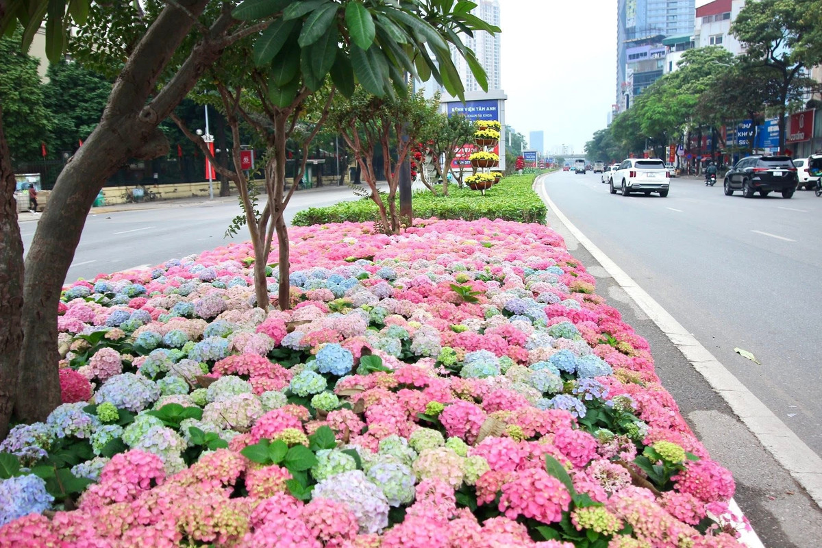 Rất nhiều bạn trẻ và các nhiếp ảnh gia không chuyên đã tranh thủ dừng chân ở những vị trí an toàn để lưu lại khoảnh khắc đẹp hiếm có này.