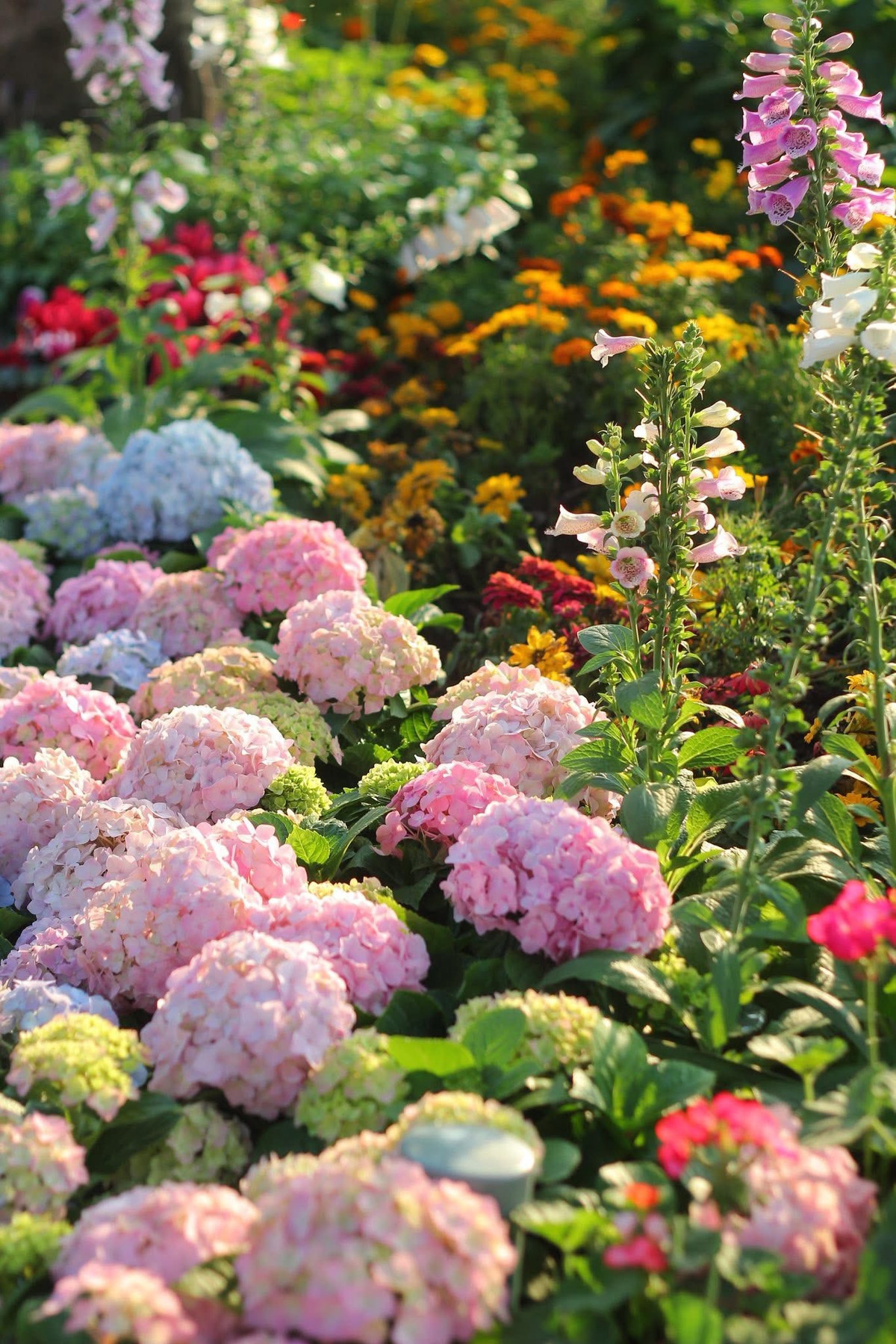 Nhiều người đã dành những lời khen có cánh trước khung cảnh hồ Gươm: "Hà Nội đẹp như trời Tây", hay "Không cần đi Đà Lạt, cứ ra hồ Gươm là có ảnh đẹp", "không tin vào mắt mình đi qua dụi mắt mấy lần luôn".