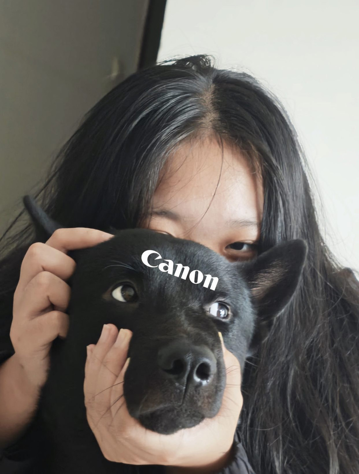 Những chú chó mặt đen, mắt sáng như Labrador, chó ta, hoặc Shiba Inu được chủ "chọn mặt gửi vàng" để "flex" như một chiếc máy ảnh độc đáo. (Ảnh: IGNV)