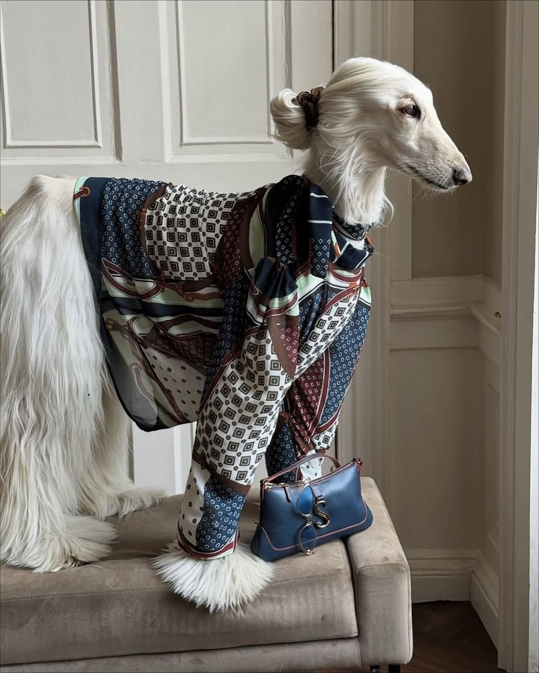 Từ những chiếc áo len cổ lọ ấm áp cho đến những chiếc áo khoác lông quyền quý, mỗi lần xuất hiện của Samantha đều giống như đang sải bước trên sàn catwalk của một tuần lễ thời trang.