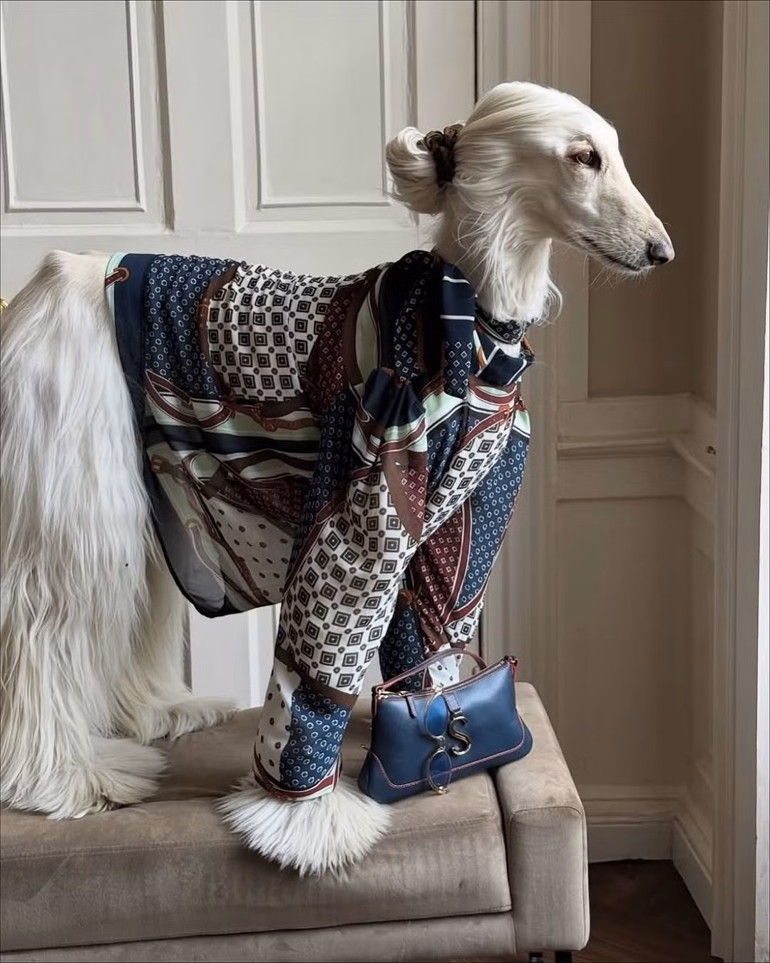 Từ những chiếc áo len cổ lọ ấm áp cho đến những chiếc áo khoác lông quyền quý, mỗi lần xuất hiện của Samantha đều giống như đang sải bước trên sàn catwalk của một tuần lễ thời trang.