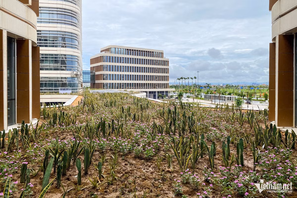 Trung tâm này có 2 lối lên xuống tầng hầm, 4 thang thoát hiểm; hệ thống giao thông, sân đường nội bộ, bãi đỗ xe; sân vườn, cảnh quan, cây xanh, mặt nước; cấp điện ngoài nhà; cấp thoát nước ngoài nhà; điện chiếu sáng, hệ thống thông tin liên lạc. Hệ thống đường nội bộ liên thông hai tòa nhà, có hành lang mái che.