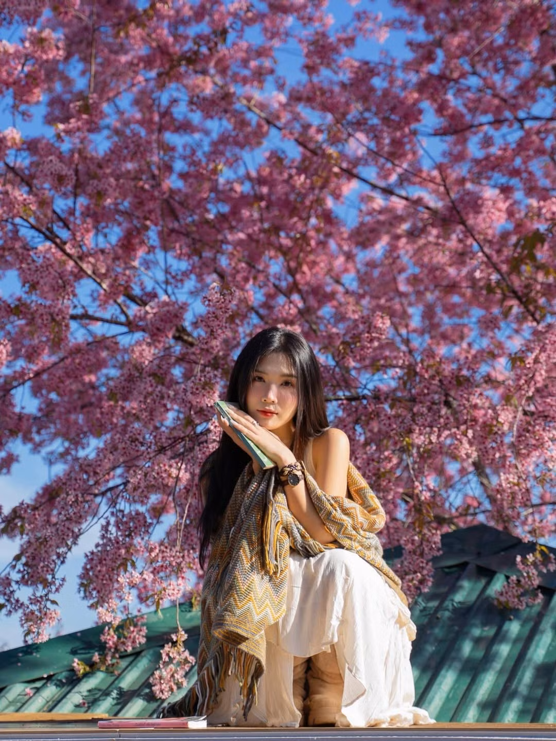 Tận dụng ánh nắng vàng hanh hao của những ngày đầu xuân, Lylychuu đã khéo léo chọn những góc máy đa dạng. (Ảnh: IGNV)