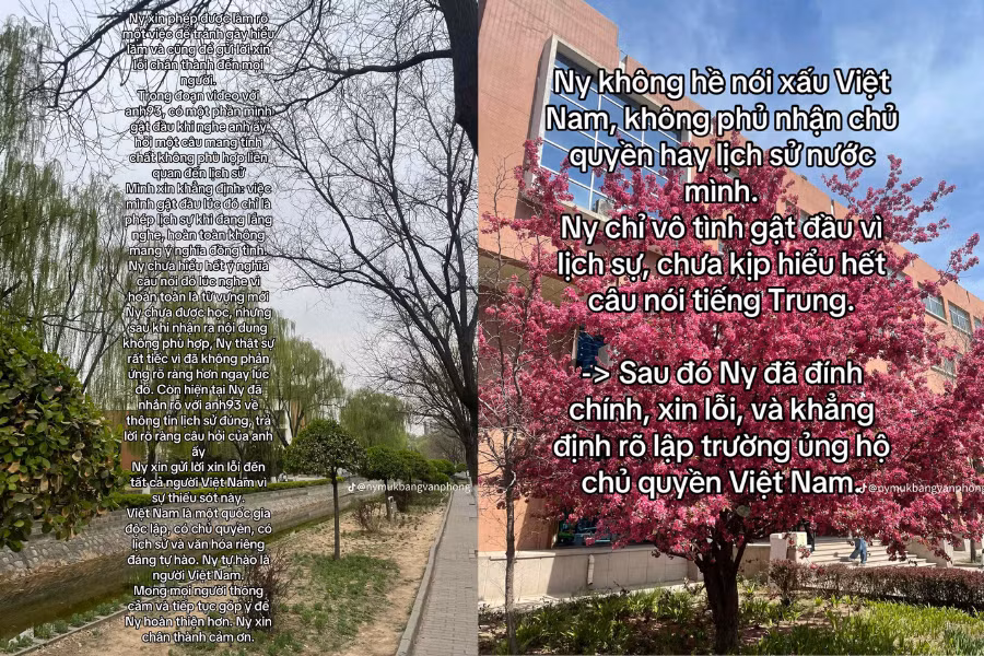 Cô lên nhiều bài để giải thích, phân bua cho hành động của mình.