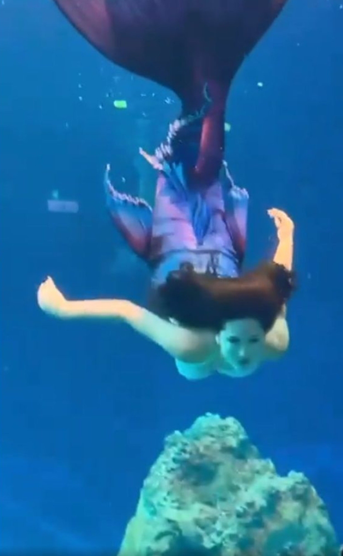 Lỗ Hiểu Hy nổi tiếng không chỉ vì tài năng lặn lội dưới nước cùng nhan sắc xinh đẹp, mà còn nhờ một sự cố dở khóc dở cười.