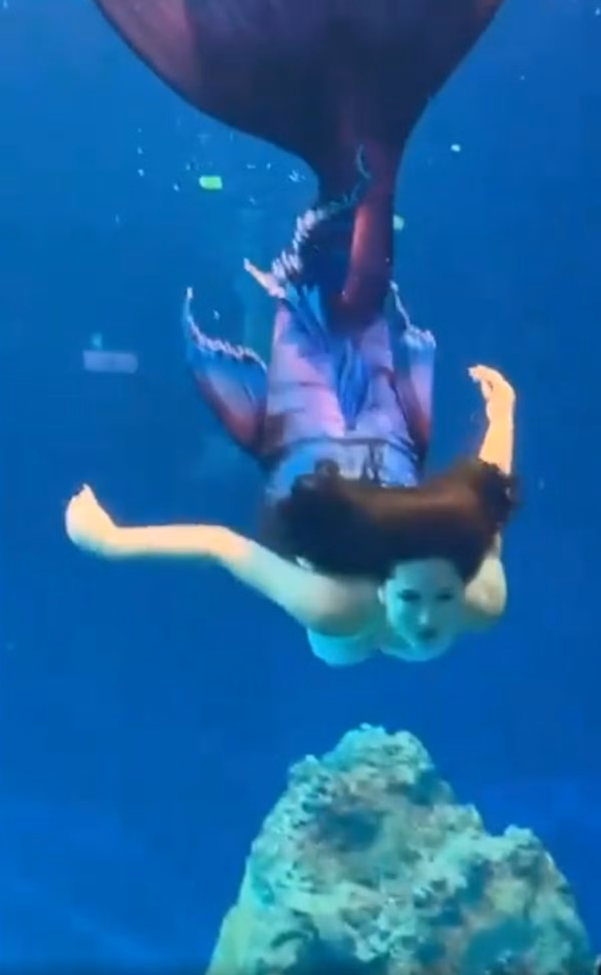 Lỗ Hiểu Hy nổi tiếng không chỉ vì tài năng lặn lội dưới nước cùng nhan sắc xinh đẹp, mà còn nhờ một sự cố dở khóc dở cười.