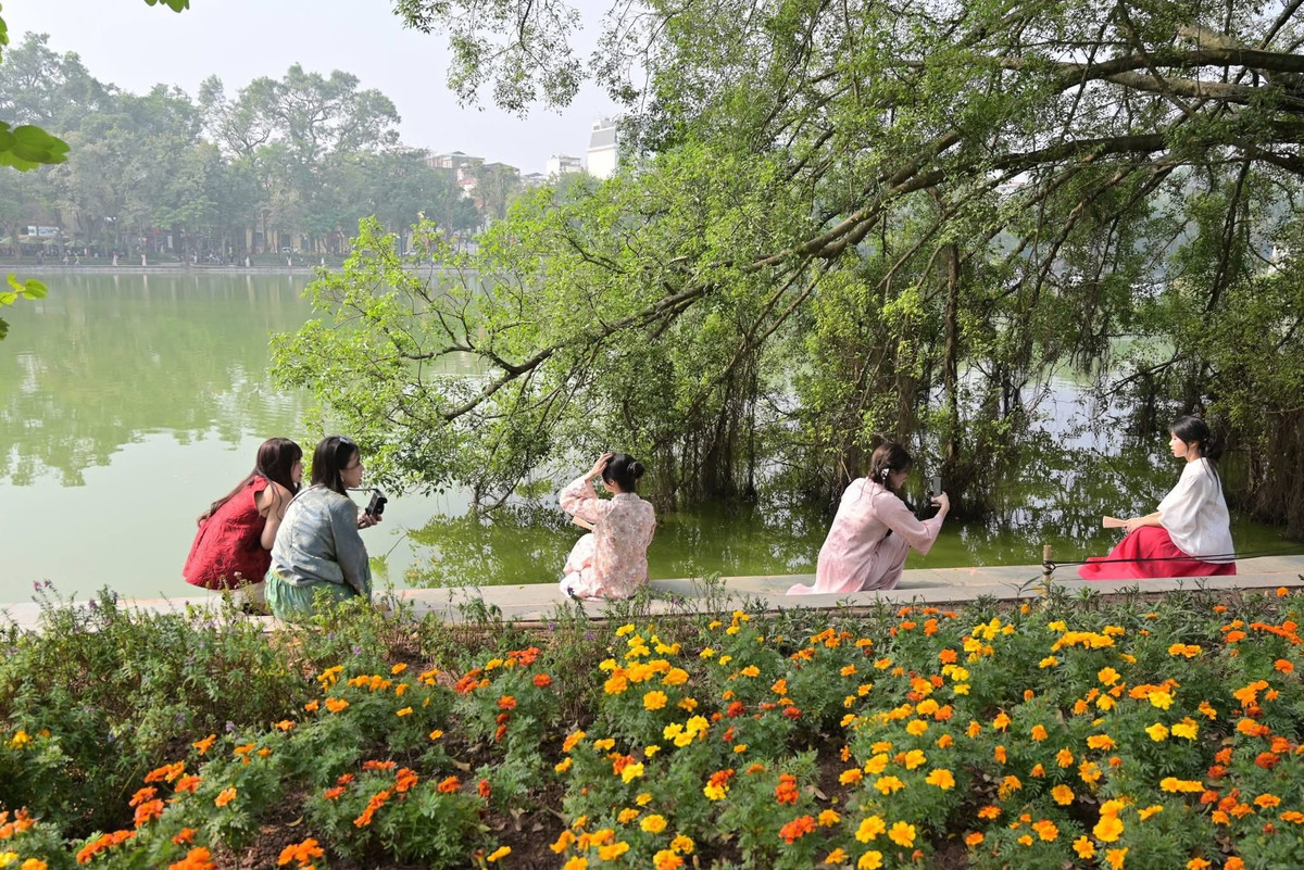 Khung cảnh mặt nước xanh biếc, những hàng lộc vừng rủ bóng, và đặc biệt là tháp Rùa cổ kính hiện lên như một bức tranh thủy mặc, làm nền hoàn hảo cho mọi khung hình.