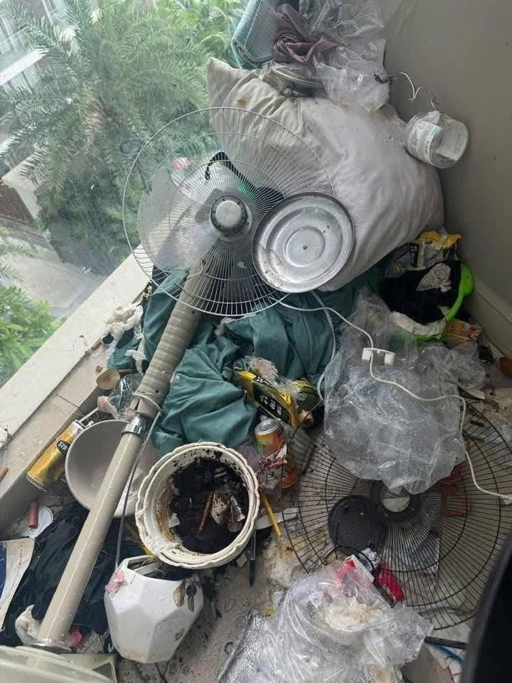 Tuy nhiên, nhiều người cũng bày tỏ sự nghi ngờ về tính chân thực của những hình ảnh nói trên, một số cư dân mạng cho rằng những hình ảnh có vẻ như được chụp từ một căn chung cư, chứ không phải homestay. Một số tài khoản khác thì bày tỏ rằng sau khi khách trả phòng chủ phải kiểm tra, không thể xảy ra tình trạng như vậy được, chủ nhân những bức ảnh có thể viết caption như vậy chỉ để câu view mà thôi.