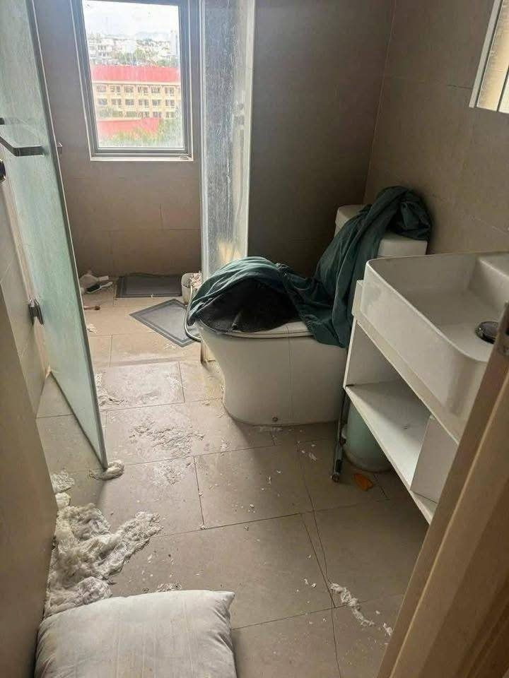 Nhiều người bày tỏ không thể tin nổi với những hình ảnh được lan truyền, đồng thời bày tỏ sự đồng cảm với chủ homestay: "Kinh tởm vậy, không biết ai là tác phẩm của căn phòng như vậy, nhìn thôi cũng muốn ói rồi", "nhìn sảng hồn, chủ homestay khóc thét", "làm kinh doanh mà gặp trường hợp thế này chắc ám ảnh đến mấy năm sau quá".