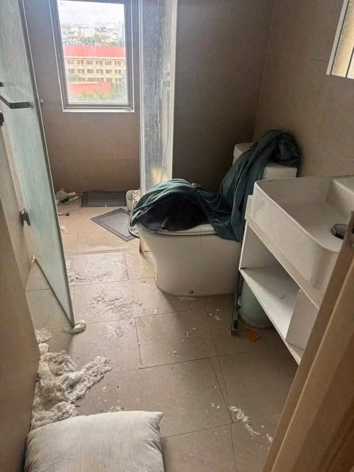 Nhiều người bày tỏ không thể tin nổi với những hình ảnh được lan truyền, đồng thời bày tỏ sự đồng cảm với chủ homestay: "Kinh tởm vậy, không biết ai là tác phẩm của căn phòng như vậy, nhìn thôi cũng muốn ói rồi", "nhìn sảng hồn, chủ homestay khóc thét", "làm kinh doanh mà gặp trường hợp thế này chắc ám ảnh đến mấy năm sau quá".