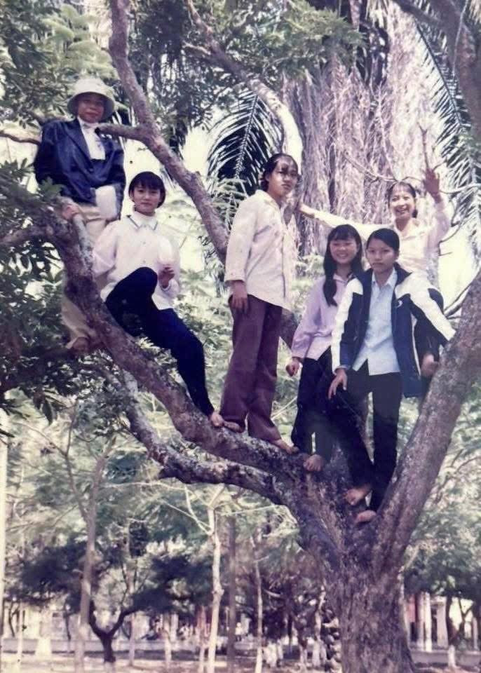 Quả thực, cách sắp xếp đội hình thời đó cực kỳ "bài bản": người đứng dưới gốc, người ngồi cành thấp, người "tọa lạc" tít trên cao, tạo nên một bố cục đa tầng mà các app chỉnh ảnh hiện đại cũng khó lòng mô phỏng được cái thần thái ấy.