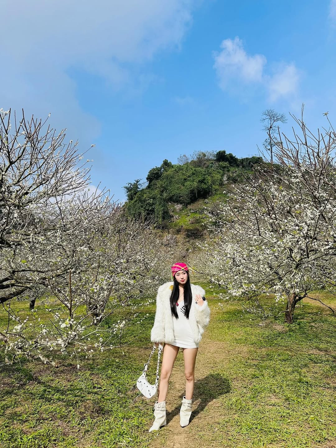 Mỗi dịp hoa mận nở rộ, Mộc Châu (Sơn La) lại trở thành điểm đến "hot" nhất, thu hút đông đảo du khách, đặc biệt là các tín đồ "sống ảo".