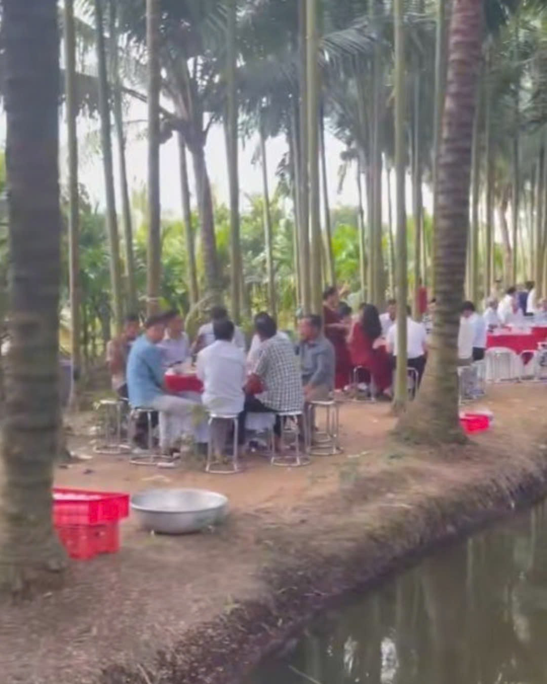 Dù được tổ chức giữa vườn, nhưng khâu chuẩn bị và trang trí lại cho thấy sự chỉn chu và đầu tư. Bàn tiệc sử dụng tông màu đỏ - trắng nổi bật, tạo nên sự tương phản rực rỡ trên nền xanh của cây lá. Góc check-in được thiết kế tối giản với phông nền trắng, điểm xuyết những nhành hoa đỏ và trắng, vừa hiện đại lại vừa giữ được nét thanh lịch.