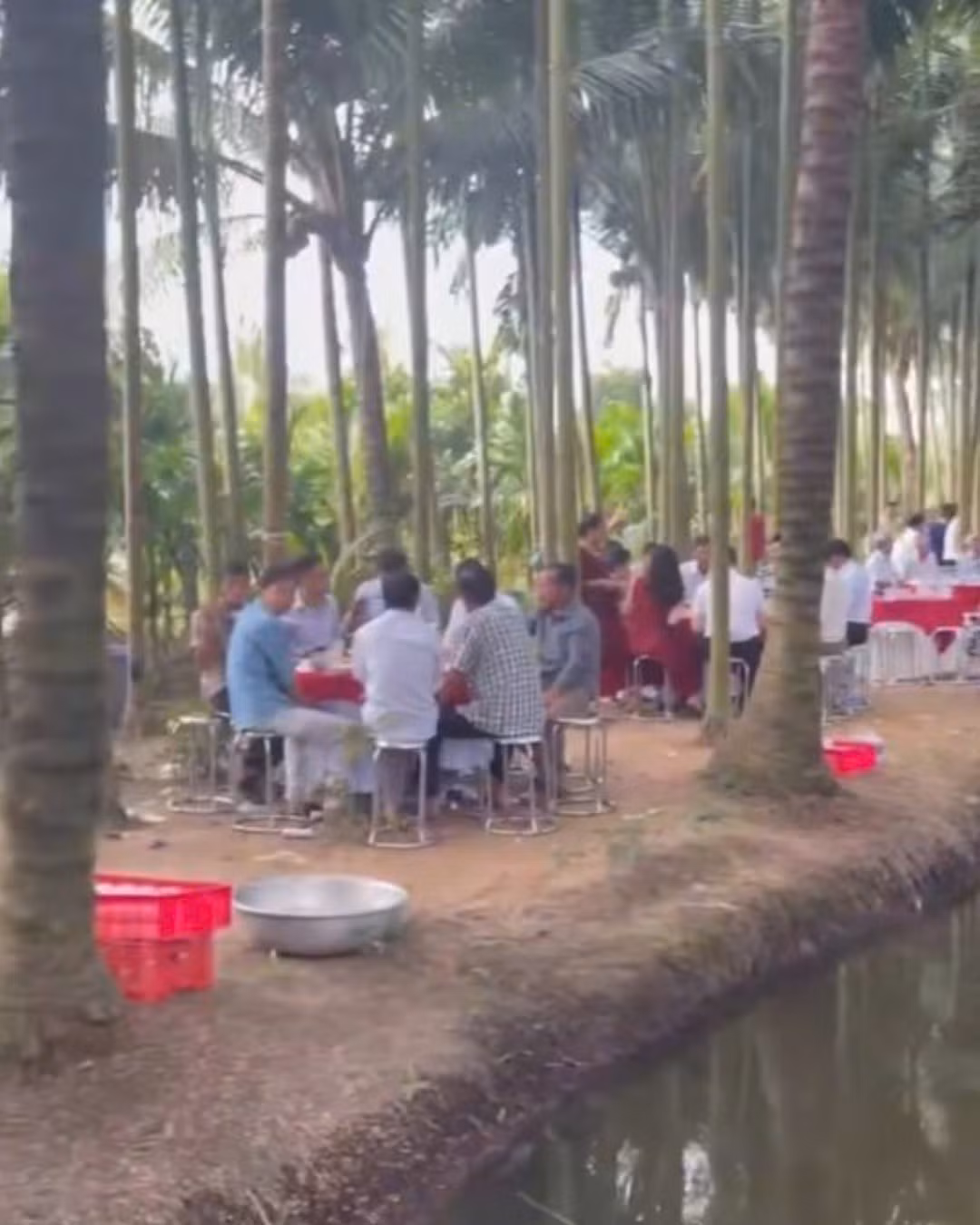 Dù được tổ chức giữa vườn, nhưng khâu chuẩn bị và trang trí lại cho thấy sự chỉn chu và đầu tư. Bàn tiệc sử dụng tông màu đỏ - trắng nổi bật, tạo nên sự tương phản rực rỡ trên nền xanh của cây lá. Góc check-in được thiết kế tối giản với phông nền trắng, điểm xuyết những nhành hoa đỏ và trắng, vừa hiện đại lại vừa giữ được nét thanh lịch.