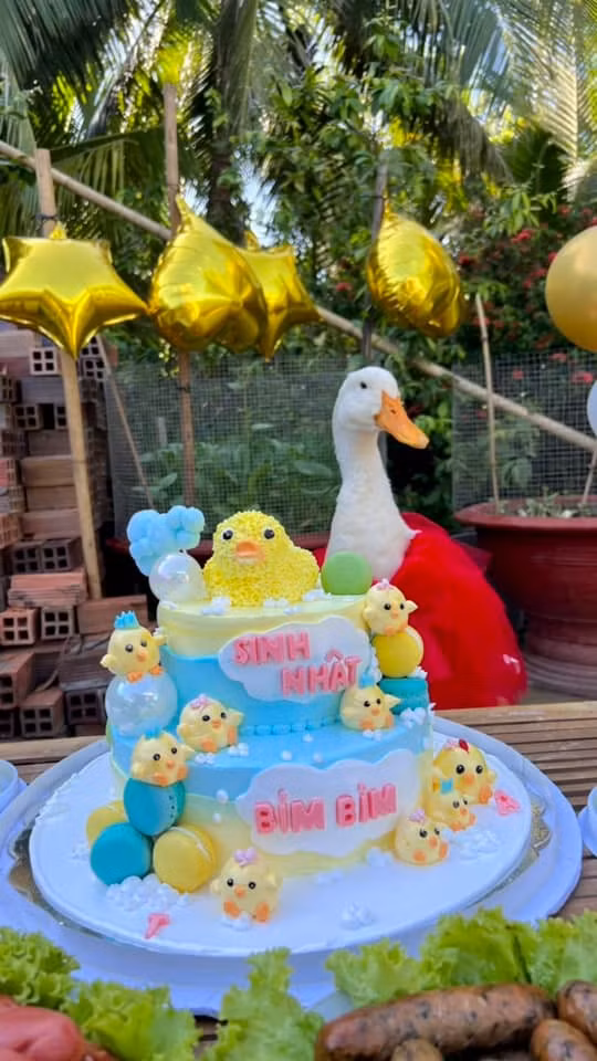 Câu chuyện về cô gái miền Tây và chú vịt Bim Bim không chỉ được yêu thích trong nước mà còn gây tiếng vang lớn ở nước ngoài. (Ảnh: Sâu Tivi)