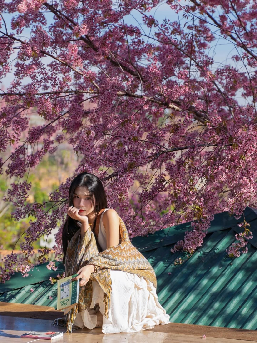 Mới đây, bộ ảnh của hot girl Lylychuu thả dáng giữa rừng hoa mai anh đào nở rộ đã nhanh chóng thu hút sự chú ý của cộng đồng mạng. Giữa không gian tràn ngập sắc hồng dịu dàng, vẻ đẹp ngọt ngào của cô nàng hòa quyện cùng thiên nhiên, tạo nên những khung hình thơ mộng khó rời mắt. (Ảnh: IGNV)