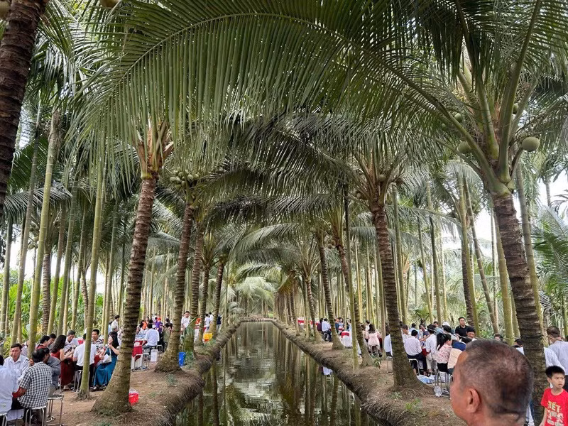 Được biết, đoạn video được quay trong đám cưới của Bùi Minh Tân và Lữ Thị Thiên Lý (cùng quê Trà Vinh, nay là tỉnh Vĩnh Long). Đám cưới được tổ chức tại nhà trai vào ngày 21/12 vừa qua.