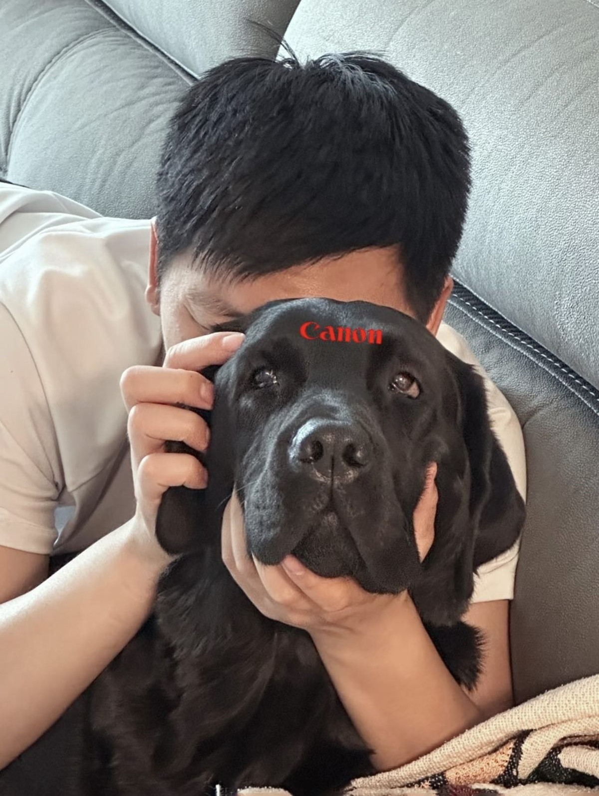 Người chủ khéo léo dùng tay ôm lấy đầu hoặc má của thú cưng, tạo dáng như đang chuẩn bị "chụp ảnh", khiến bức hình càng trở nên ngộ nghĩnh. Đôi mắt long lanh, biểu cảm bất ngờ hoặc ngơ ngác của cún cưng khi bị chủ ôm chặt lại càng làm tăng thêm sự hài hước cho bức ảnh. (Ảnh: IGNV)