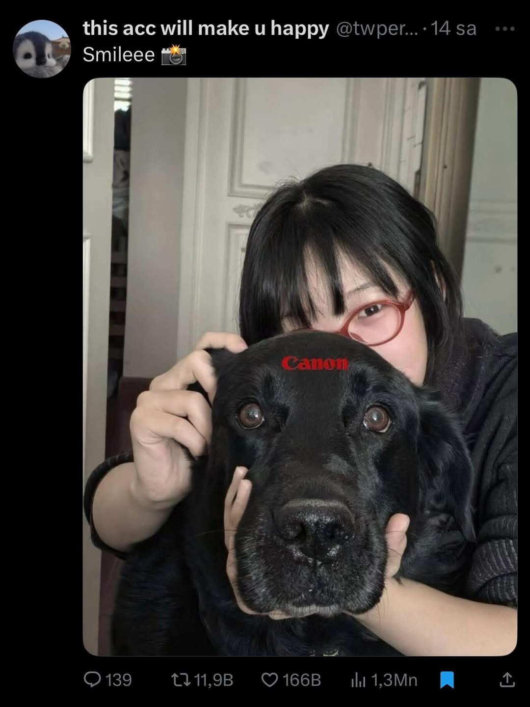 Mỗi bức ảnh là một cách khoe khéo sự đáng yêu, ngốc nghếch nhưng cũng rất trung thành của những người bạn nhỏ. (Ảnh: IGNV)