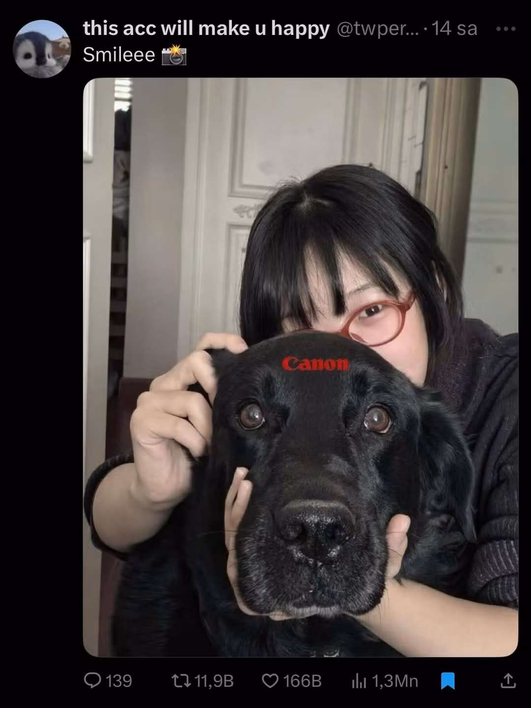 Mỗi bức ảnh là một cách khoe khéo sự đáng yêu, ngốc nghếch nhưng cũng rất trung thành của những người bạn nhỏ. (Ảnh: IGNV)