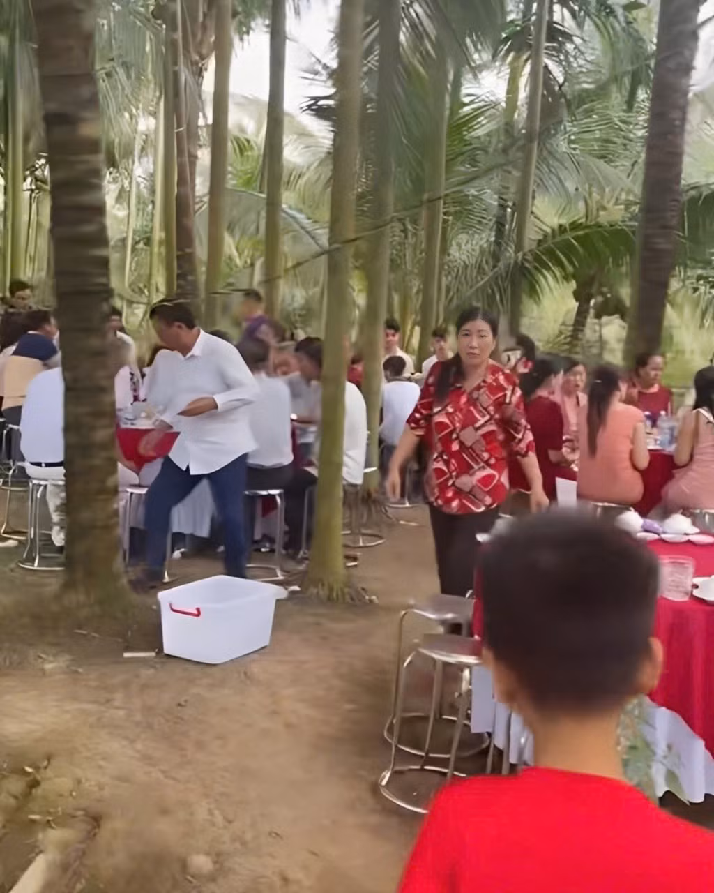 Khác với những rạp cưới truyền thống thường được dựng trên đường lộ hay sân nhà, gia chủ của đám cưới này đã quyết định tận dụng chính lợi thế sân vườn của gia đình. Với diện tích lên đến 1 mẫu (10.000m²), hàng trăm bàn tiệc được sắp xếp khéo léo dọc theo các lối đi giữa những hàng dừa và cau thẳng tắp.