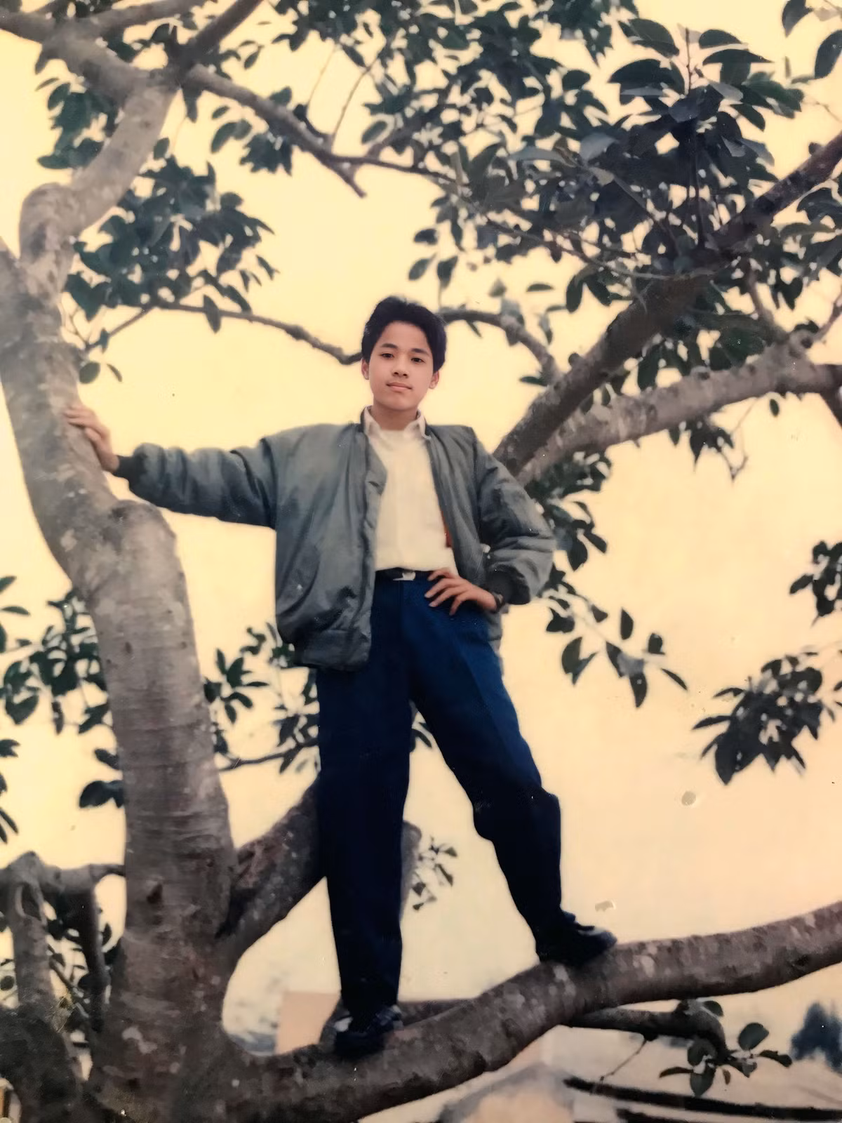 Dù góc chụp đôi khi hơi mạo hiểm, ánh sáng có thể bị cháy hay trang phục giản đơn, nhưng những bức ảnh "trên cây" ấy lại chứa đựng một thời thanh xuân rực rỡ và chân thật nhất.