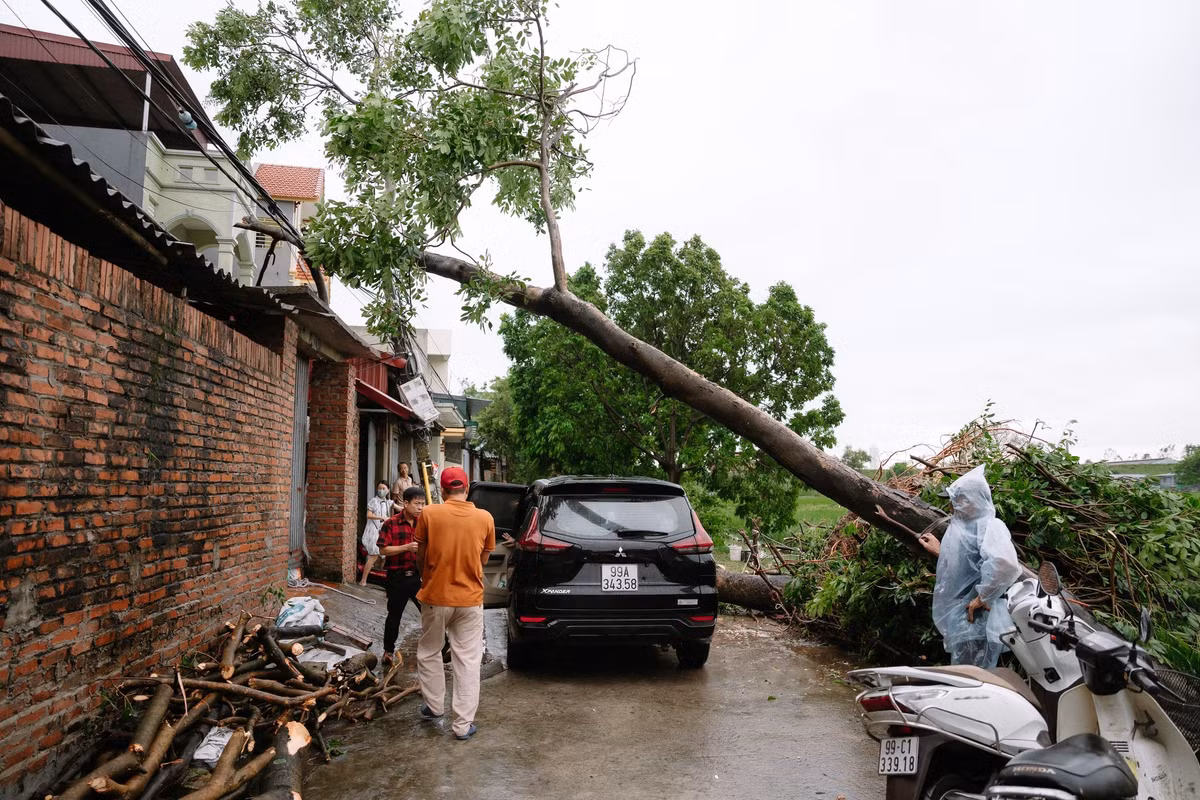 Nhiều người bày tỏ sự ngưỡng mộ trước tinh thần lạc quan, yêu đời của cặp đôi và cho rằng đây sẽ là một kỷ niệm khó quên trong cuộc đời họ.